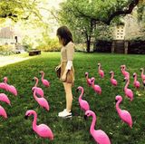 8. Juni 2017   "Nur ein Haufen Vögel im Paradies", postet Lily Collins zu diesem doch sehr ungewöhnlichen in New York entstandenen Foto.