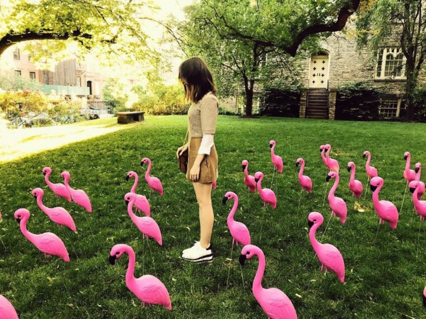 8. Juni 2017   "Nur ein Haufen Vögel im Paradies", postet Lily Collins zu diesem doch sehr ungewöhnlichen in New York entstandenen Foto.
