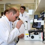 Nach Worten folgen Taten: Prinz William darf selber durch ein Mikroskop blicken und die Ergebnisse der Forscher begutachten.