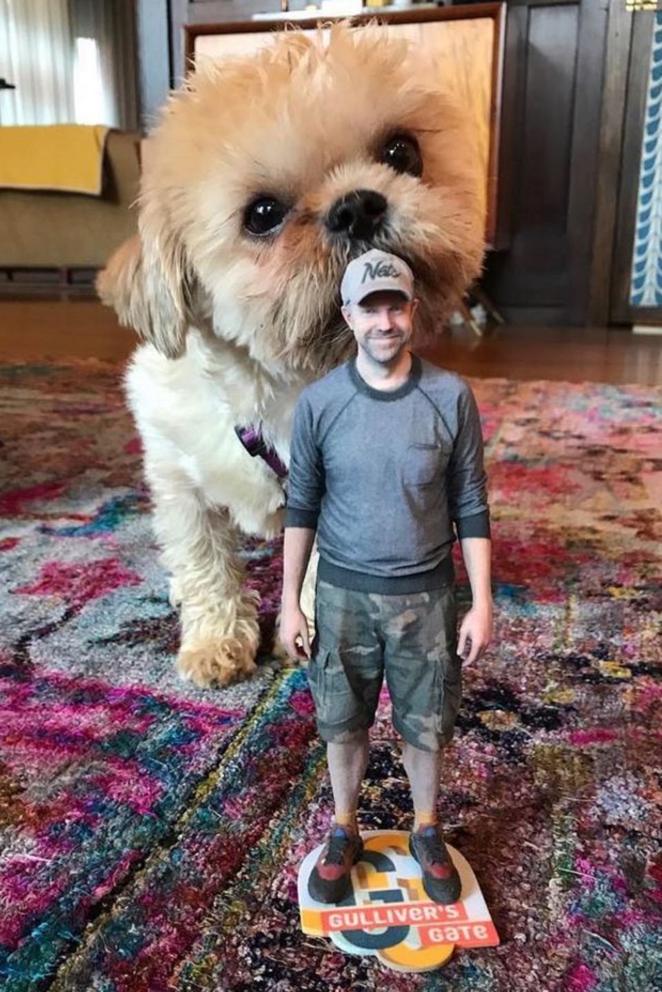 "Achtung Jason!", postet Schauspielerin Olivia Wilde. Dank Bildbearbeitung schrumpfte sie Ehemann Jason Sudeikis und platzierte ihn vor ihren Hund Maxamillion. Doch auch als vermeintlicher Riese ist das Hündchen einfach zu knuffig. 