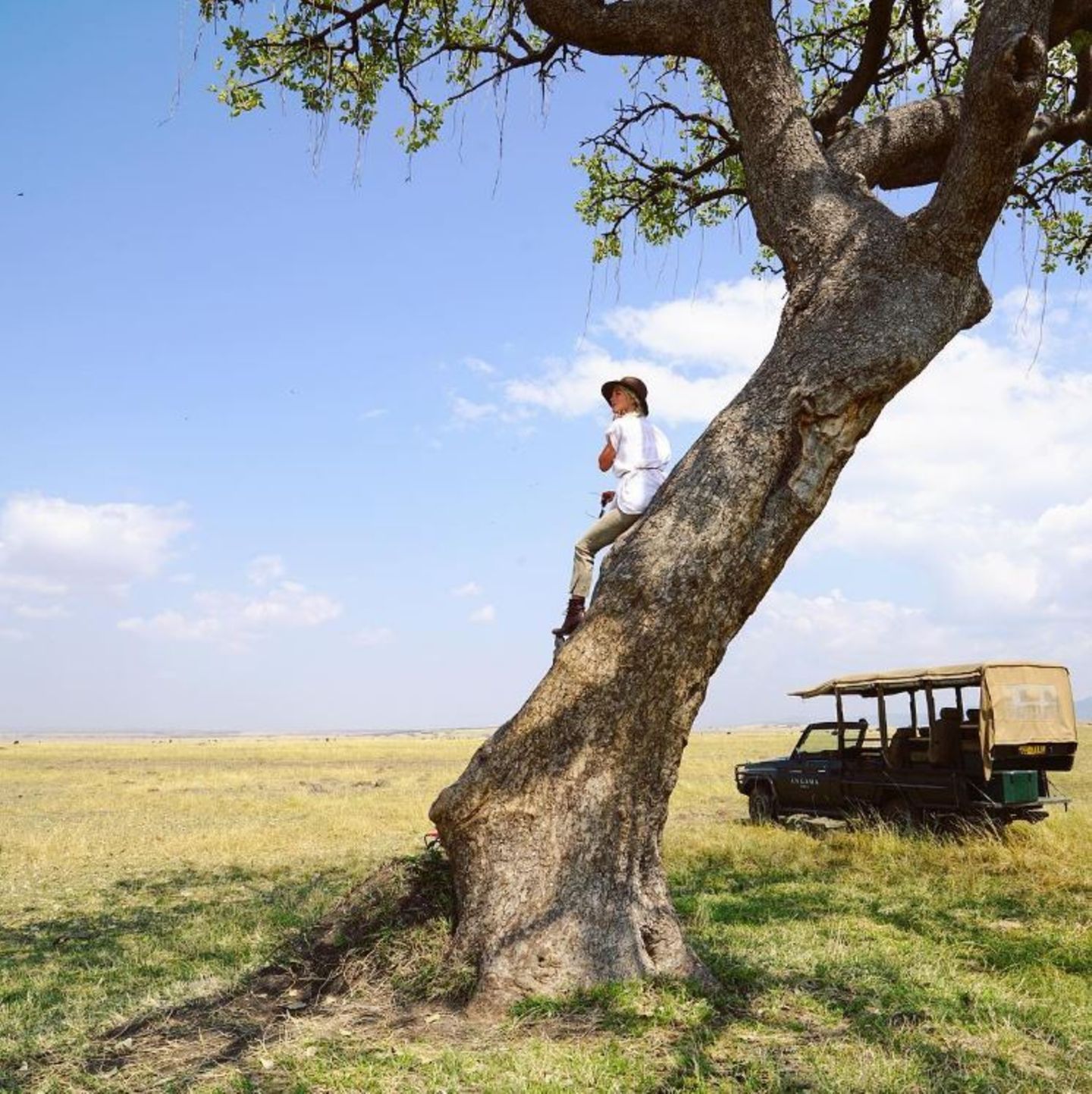 Julianne Hough + Brooks Laich  Auf in die Flitterwochen-Savanne: Julianne Hough teilt ein Foto aus dem "Masai Mara National Park" in Kenia.