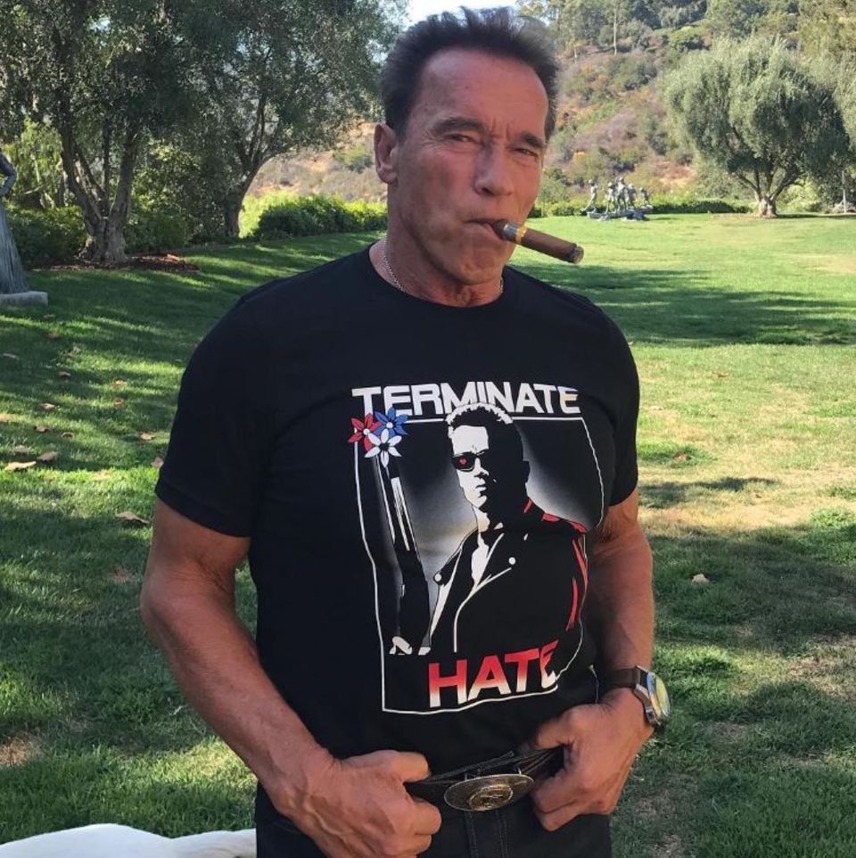 "Terminate Hate" steht auf seinem T-Shirt geschrieben: Actionheld Arnold Schwarzenegger verkauft das coole Shirt und sendet alle Erlöse an das "Simon Wiesenthal Center", eine Organisation, die sich für Menschenrechte einsetzt.
