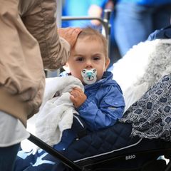 10. September 2017  Der kleine Prinz Oscar guckt ziemlich verschlafen aus seinem Kinderwagen. 