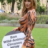 Wildtiere im Zirkus müssen verboten werden: Im heißen Tigermuster-Bodypainting wirbt Model Joanna Krupa für die Peta Kampagne. 