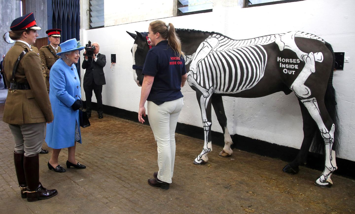 24. Oktober 2017  Damit hat Queen Elizabeth nicht gerechnet: Statt eines normalen Pferdes, wird ihr beim Besuch des "Household Cavalry Mounted Regiment" ein Tier mit aufgemaltem Skelett vorgeführt. 