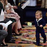 Prinz Alexander macht sie auf den Weg, die Umgebung zu erkunden.