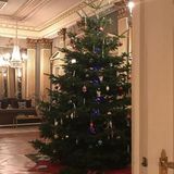 3. Dezember 2017  Hereinspaziert! Dänemarks Kronprinzenpaar Frederik und Mary zeigt auf Instagram den geschmückten Weihnachtsbaum in ihrem Flügel von Schloss Amalienborg. Die vier Kinder haben mitgemacht und so ist ein wahres Prachtexemplar entstanden.