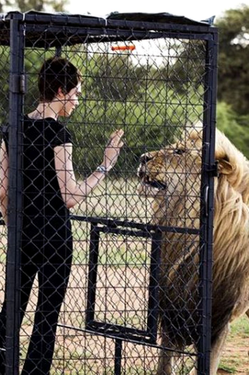 Cara Delevingne postet ein Foto, welches Fans hoffen lässt, dass dieser Käfig doch bitte, bitte halten möge. Das schöne Model hingegen freut sich riesig über die atemberaubende Begegnung mit ihrem königlichen Lieblingstier, dem Löwen. 