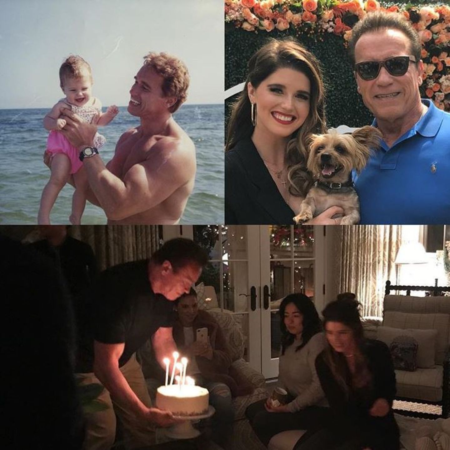 14. Dezember 2017   28 Jahre ist Arnold Schwarzeneggers Tochter Katherine mittlerweile alt. Zu ihrem Geburtstag geht der Hollywoodstar dank seiner kleinen Fotocollage mit uns auf Zeitreise. 