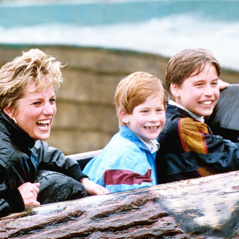 Prinzessin Diana, Prinz Harry, Prinz William