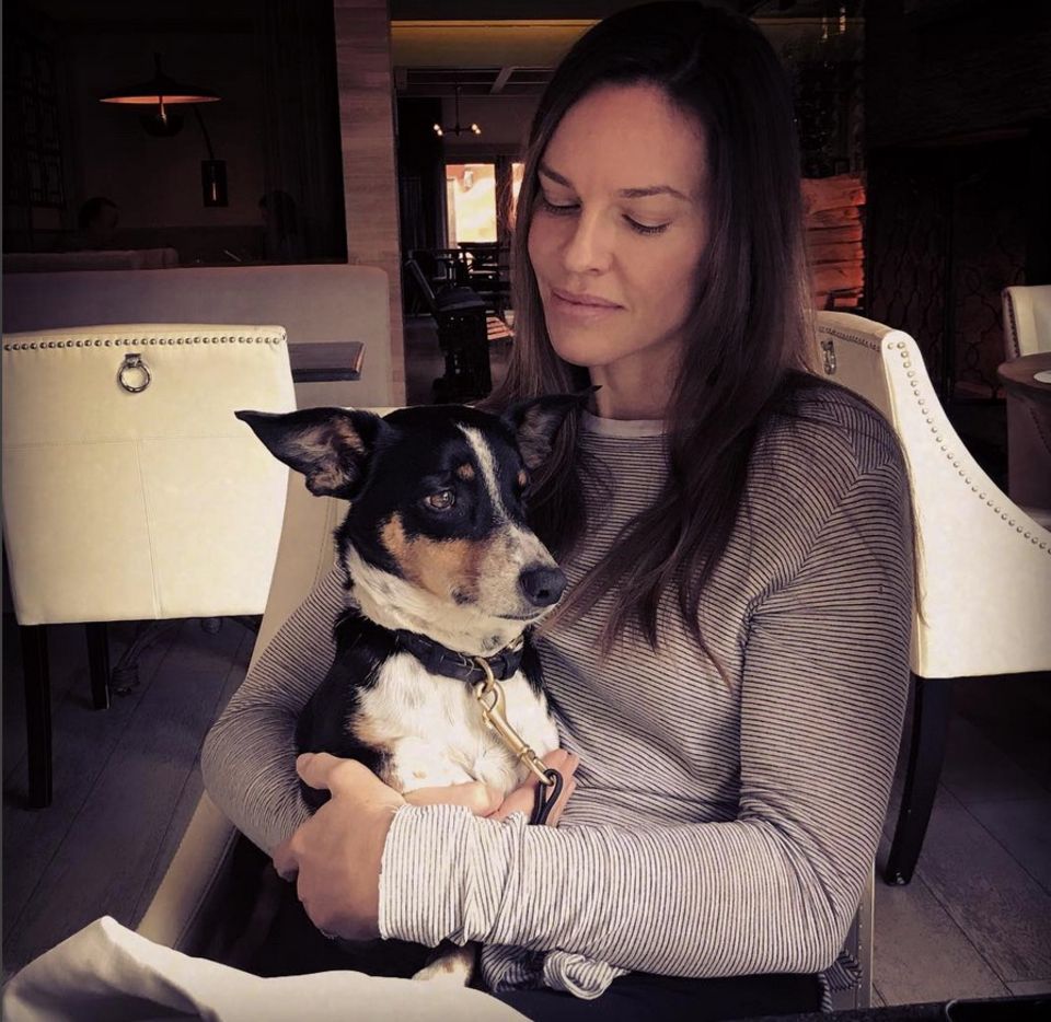 Einen fröhlichen Mittwoch wünscht Hilary Swank mit Hund Peanut im Arm. Einen fröhlichen Mittwoch wünscht Hilary Swank mit Hund Peanut im Arm.