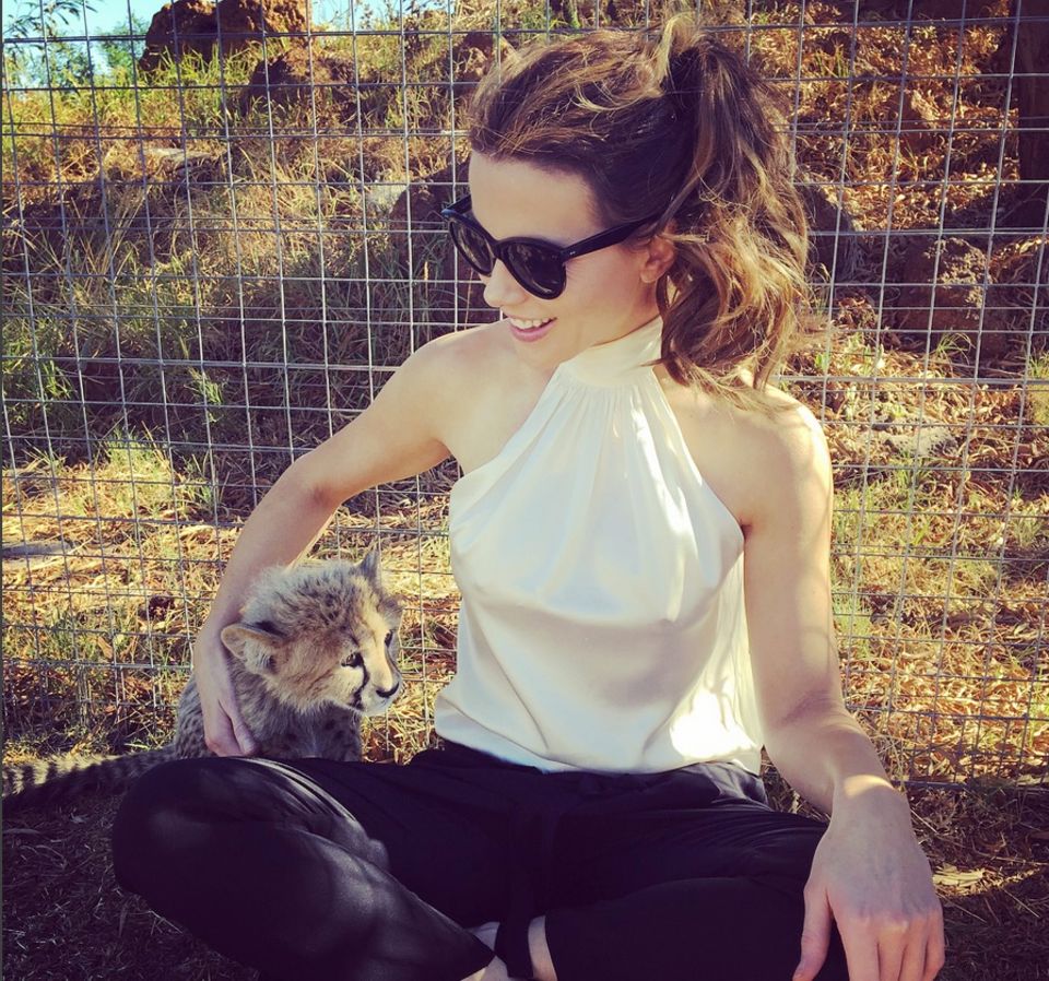 Kate Beckinsale kuschelt in Südafrika mit kleinen Gaparden-Babys. Kate Beckinsale kuschelt in Südafrika mit kleinen Gaparden-Babys.
