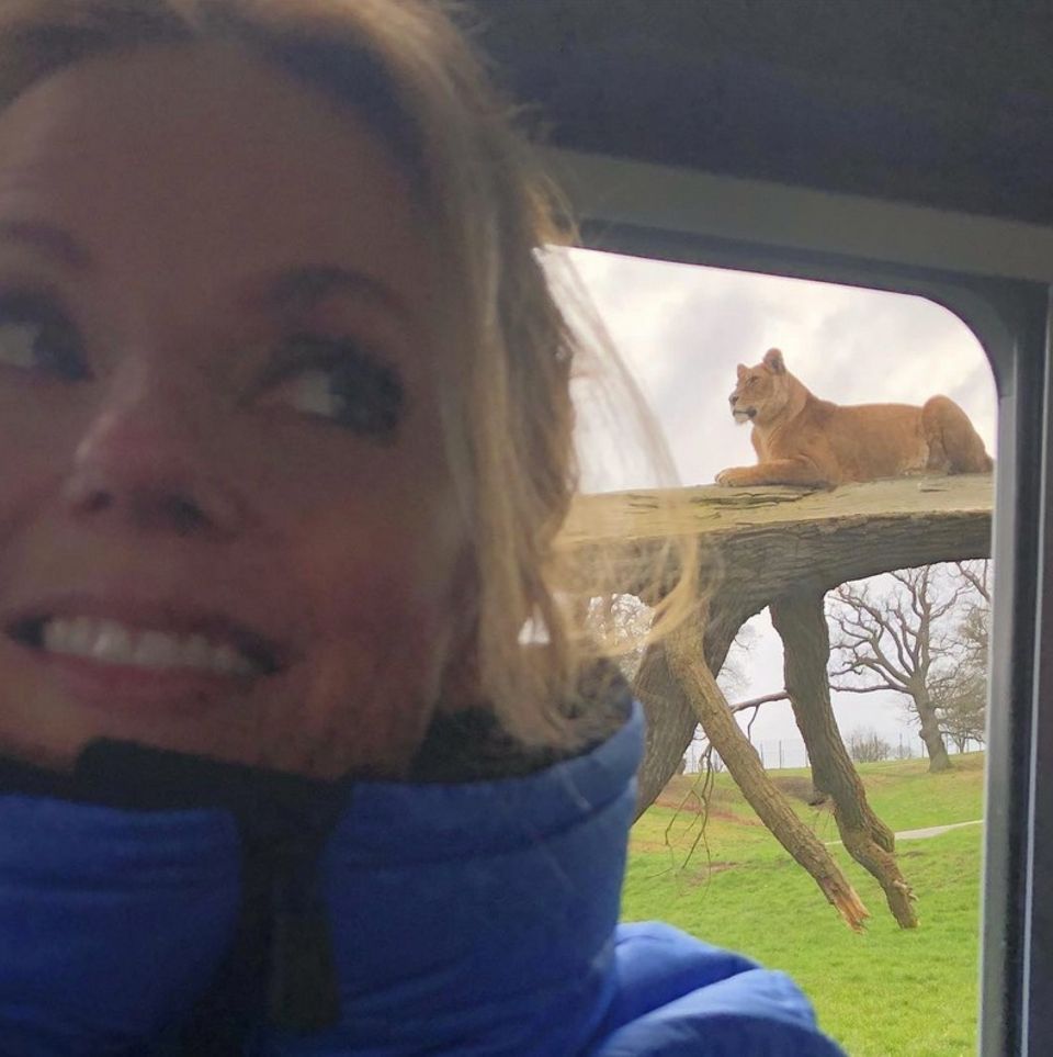 Geri Halliwell postet "Roar- Mein Sternzeichen" Die Gute schient Löwe zu sein. Geri Halliwell postet "Roar- Mein Sternzeichen" Die Gute schient Löwe zu sein.