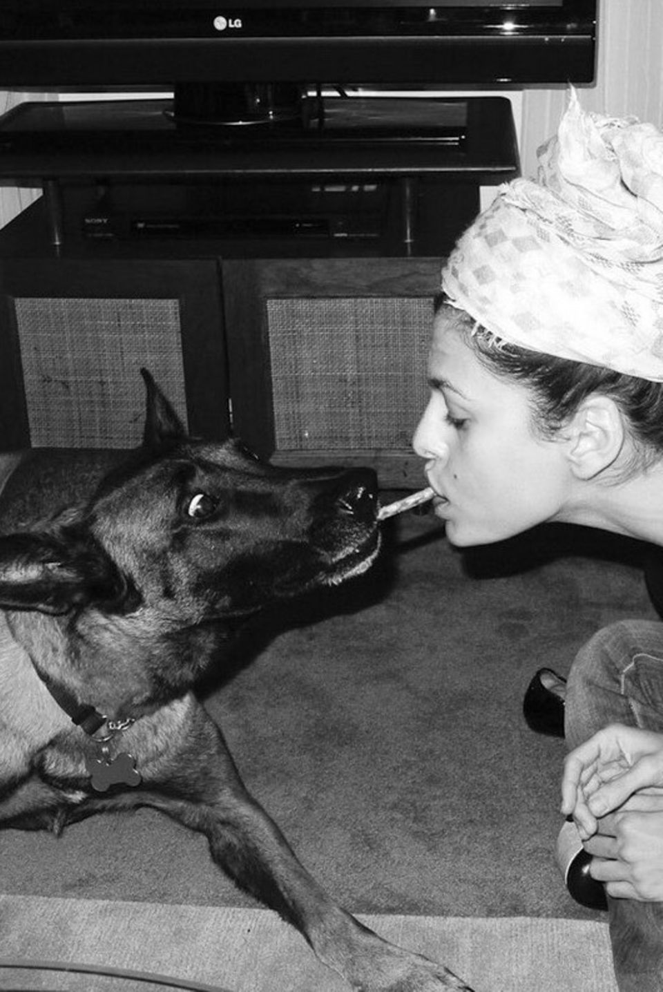 Eva Mendes liebt ihren Vierbeiner so sehr, dass sie sogar das Essen mit im teilt. Hugo, so heißt Evas Hund, scheint das Spiel allerdings nicht so lustig zu finden. 