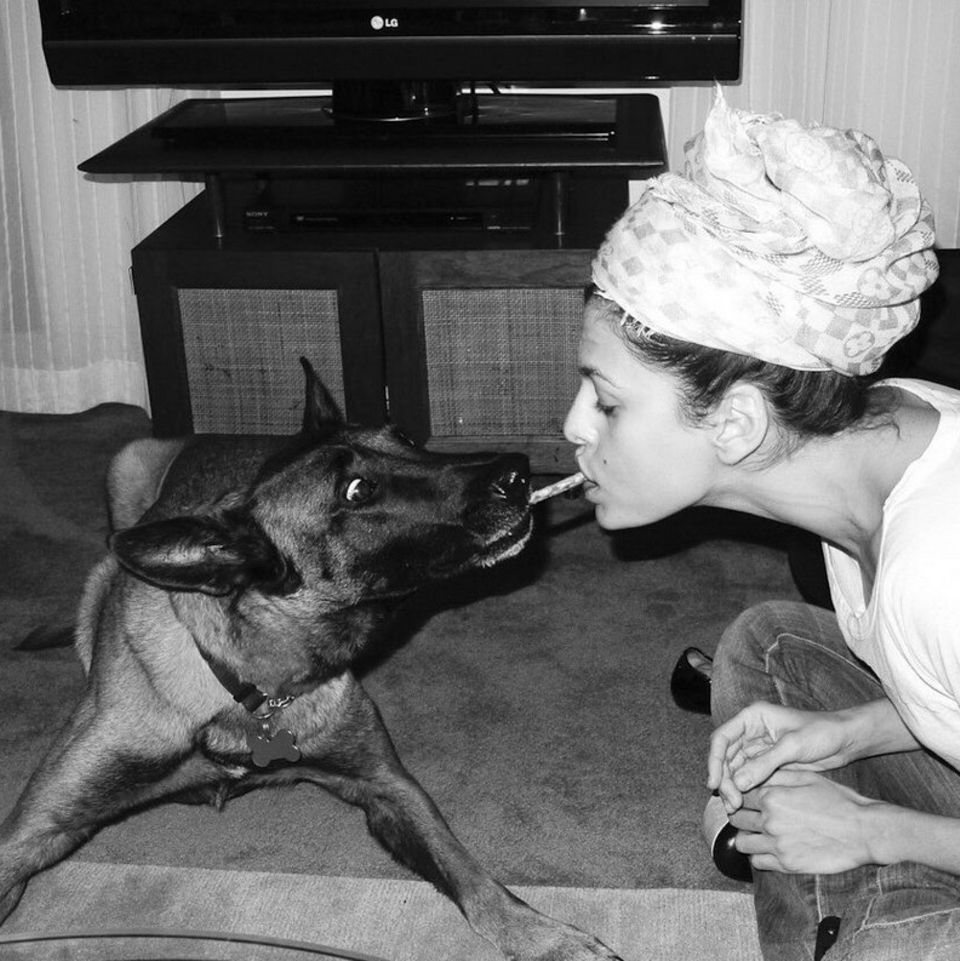 Eva Mendes liebt ihren Vierbeiner so sehr, dass sie sogar das Essen mit im teilt. Hugo, so heißt Evas Hund, scheint das Spiel allerdings nicht so lustig zu finden. Eva Mendes liebt ihren Vierbeiner so sehr, dass sie sogar das Essen mit im teilt. Hugo, so heißt Evas Hund, scheint das Spiel allerdings nicht so lustig zu finden.