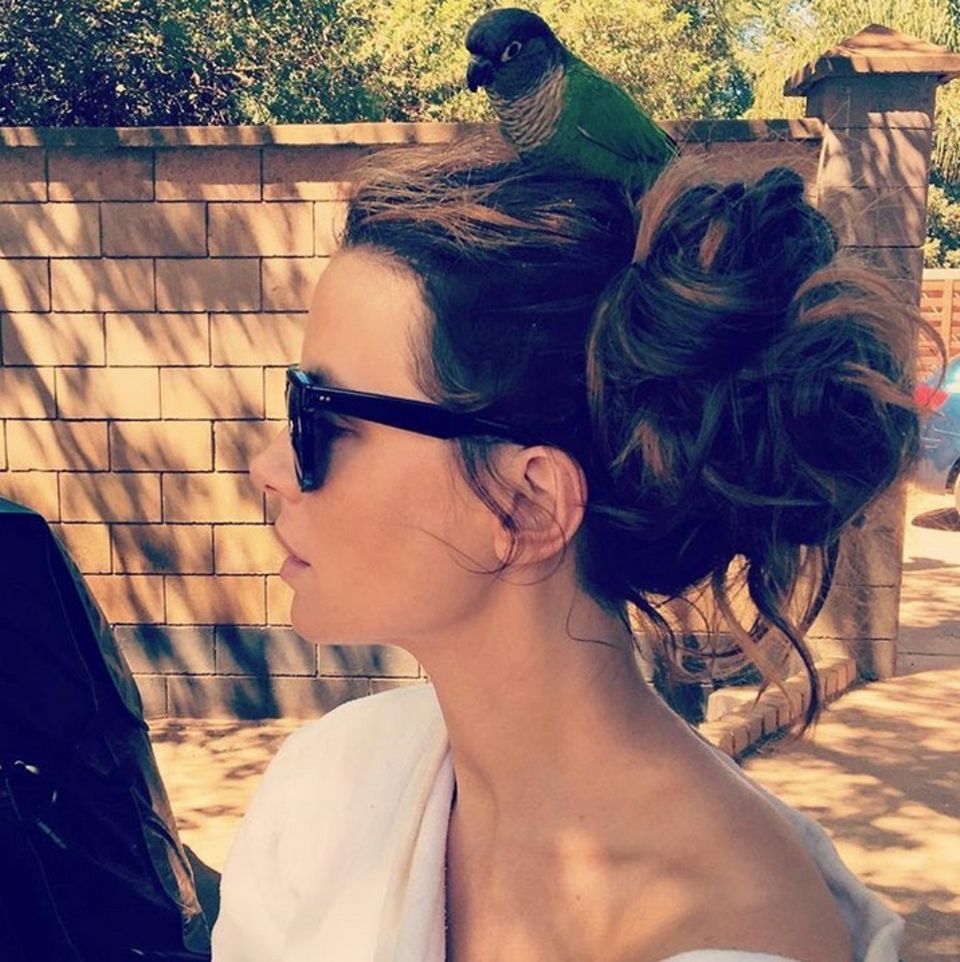 Bei Kate Beckinsale piept's wohl: Auf ihrem Kopf hat es sich ein kleiner Vogel gemütlich gemacht. Vielleicht soll dieser ihr Glück bringen. Zumindest glaubt die hübsche Schauspielerin offensichtlich daran. "... Manchmal hat man einfach Glück", postet sie. Glück wünschen wir ihr in jedem Fall. Bei Kate Beckinsale piept's wohl: Auf ihrem Kopf hat es sich ein kleiner Vogel gemütlich gemacht. Vielleicht soll dieser ihr Glück bringen. Zumindest glaubt die hübsche Schauspielerin offensichtlich daran. "... Manchmal hat man einfach Glück", postet sie. Glück wünschen wir ihr in jedem Fall.