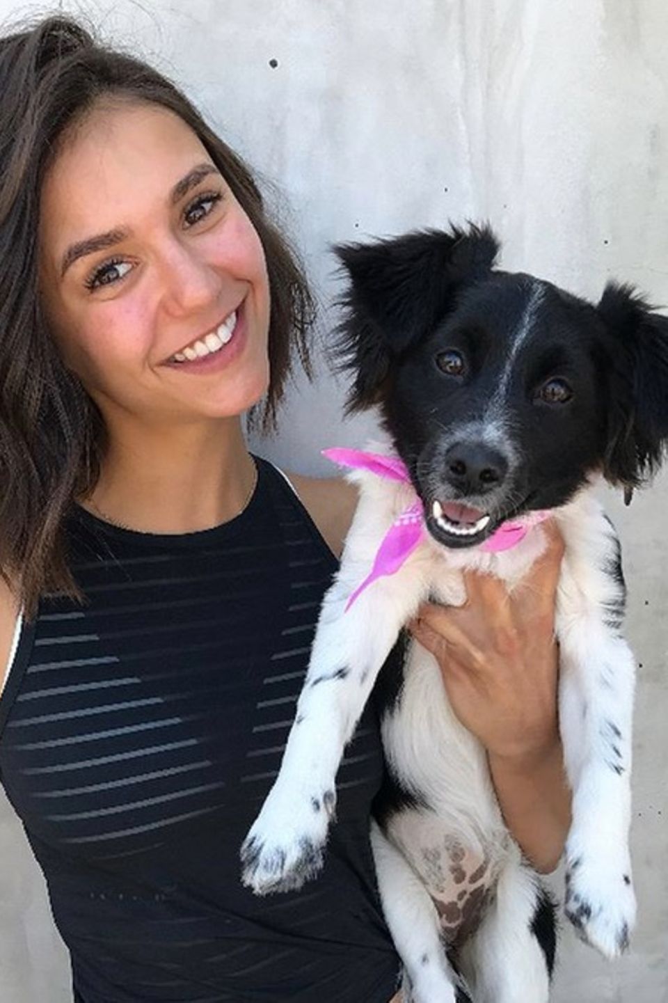 Große Hundeliebe auch bei Nina Dobrev. Ihre süße Hündin feiert am Valentinstag ihren ersten Geburtstag. Dies nimmt Nina Dobrev zum Anlass, viele süße Fotos von sich und dem flauschigen Vierbeiner zu posten. Große Hundeliebe auch bei Nina Dobrev. Ihre süße Hündin feiert am Valentinstag ihren ersten Geburtstag. Dies nimmt Nina Dobrev zum Anlass, viele süße Fotos von sich und dem flauschigen Vierbeiner zu posten.