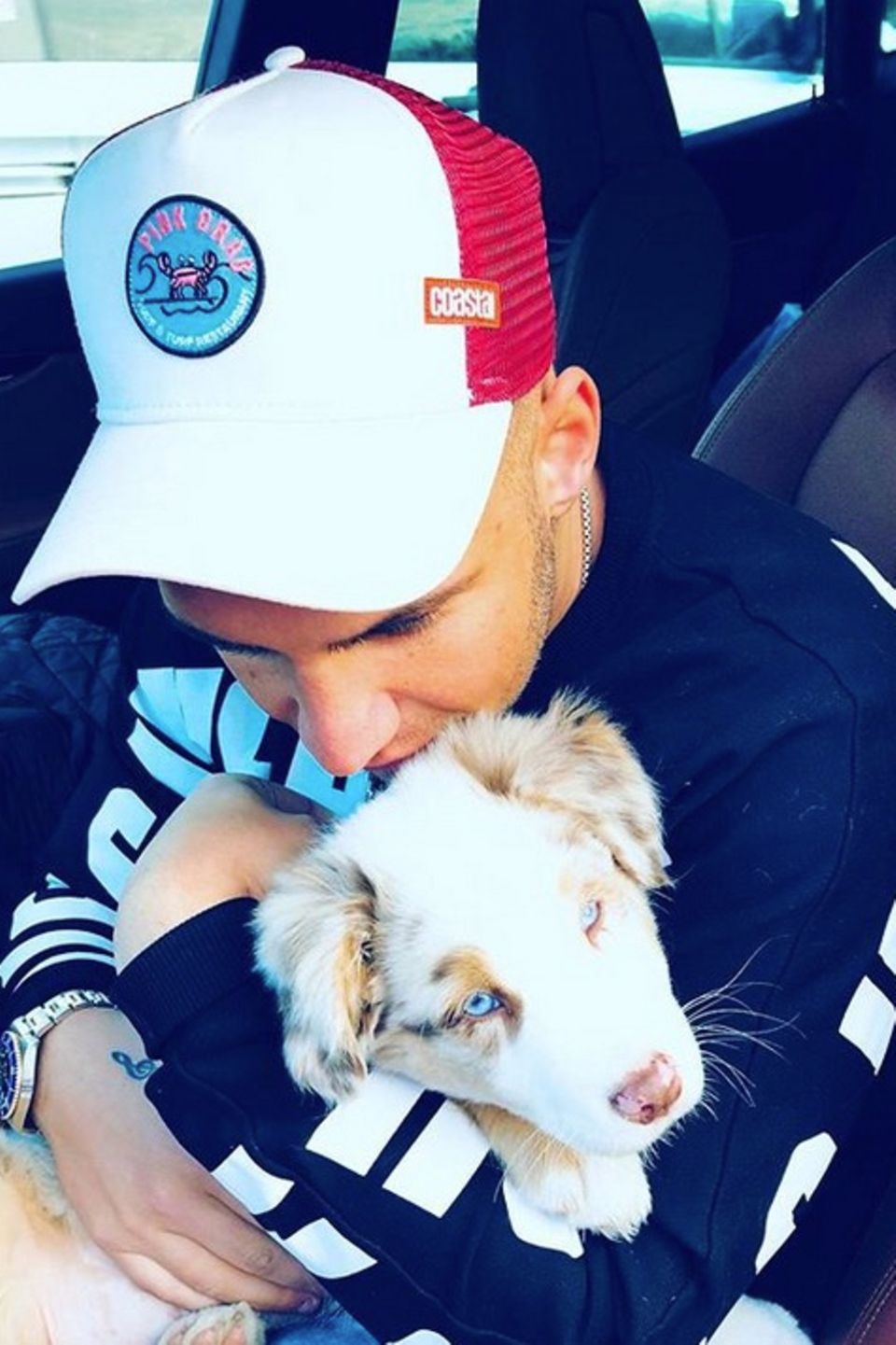 Pietro Lombardi total verliebt. Doch nicht etwa einen neue Frau hat sein Herz erobert. Es ist ein kleiner Welpe, der den 25-Jährigen so glücklich macht. Hat sich Pietro etwa einen Hund zugelegt? Ob es nun sein Hund ist, oder der eines Freundes, scheint den Fans egal zu sein. Sie sind vollkommen begeistert von dem niedlichen Schnappschuss. Pietro Lombardi total verliebt. Doch nicht etwa einen neue Frau hat sein Herz erobert. Es ist ein kleiner Welpe, der den 25-Jährigen so glücklich macht. Hat sich Pietro etwa einen Hund zugelegt? Ob es nun sein Hund ist, oder der eines Freundes, scheint den Fans egal zu sein. Sie sind vollkommen begeistert von dem niedlichen Schnappschuss.