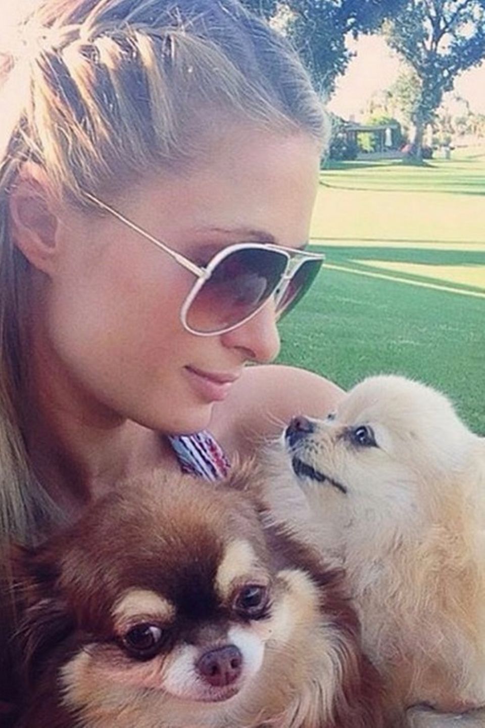 Am 20. Februar ist der "Tag der Haustiere." Dies nahm Paris Hilton zum Anlass, ihre beiden treuen Wegbegleiter auf Instagram zu präsentieren. Am 20. Februar ist der "Tag der Haustiere." Dies nahm Paris Hilton zum Anlass, ihre beiden treuen Wegbegleiter auf Instagram zu präsentieren.