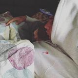 8. Februar 2018   Mit den Zeilen "Papa ist immer da" postet Pietro Lombardi dieses Foto von sich und Söhnchen Alessio eingekuschelt in eine Bettdecke. 