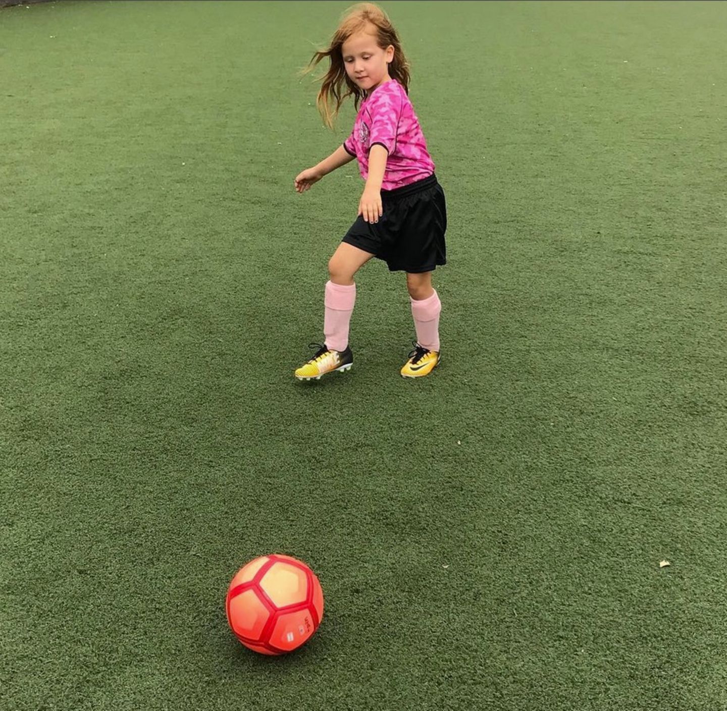 Küken liebt es, ihre Löcher zu spielen Küken liebt es, ihre Löcher zu spielen