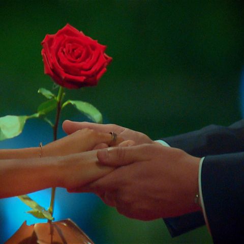Wem wird der Bachelor die letzte Rose überreichen - Kristina oder Svenja?