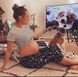 Mit kugelrundem, nackten Babybauch und ihrem Hund Seppi posiert Annemarie Carpendale für einen Instagram-Schnappschuss. Die hochschwangere Moderatorin erwartet mit ihrem Mann, Wayne Carpendale, ihr erstes Baby. Lange kann es nicht mehr dauern ...