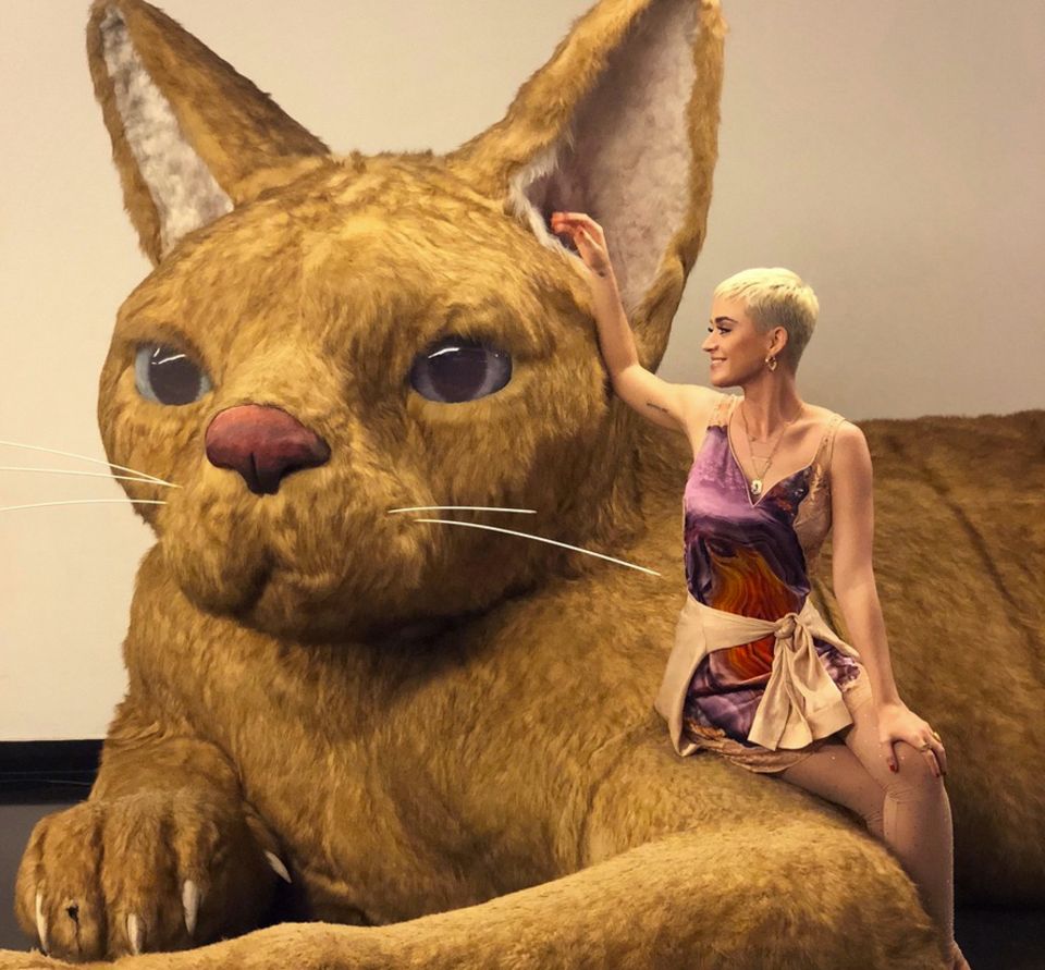 22. März 2018 Katy Perry kuschelt mit einer riesen Katze. Die Sängerin postet diesen lustigen Schnappschuss auf ihrem Instagram-Account. 22. März 2018 Katy Perry kuschelt mit einer riesen Katze. Die Sängerin postet diesen lustigen Schnappschuss auf ihrem Instagram-Account.