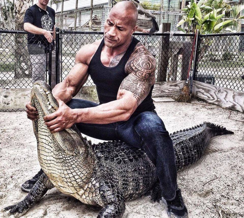 The Rock promotet derzeit seinen neuen Film "Rampage", der auf dem gleichnamigen Computerspiel von 1986 basiert. Der Film erzählt die Geschichte eines Mannes, der mit einem riesigen Gorilla zusammenarbeitet, um mutierte Wölfe und Reptilien zu bekämpfen. Der Schauspieler Dwayne Johnson will dies gleich mal an einem lebendigen Alligator ausprobieren. The Rock promotet derzeit seinen neuen Film "Rampage", der auf dem gleichnamigen Computerspiel von 1986 basiert. Der Film erzählt die Geschichte eines Mannes, der mit einem riesigen Gorilla zusammenarbeitet, um mutierte Wölfe und Reptilien zu bekämpfen. Der Schauspieler Dwayne Johnson will dies gleich mal an einem lebendigen Alligator ausprobieren.