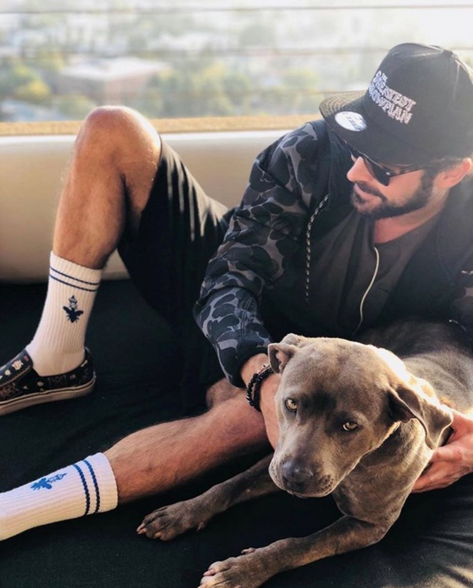 Zac Efron präsentiert seinen Instagram-Fans seinen neuen Vierbeiner "Maca" Zac Efron präsentiert seinen Instagram-Fans seinen neuen Vierbeiner "Maca"