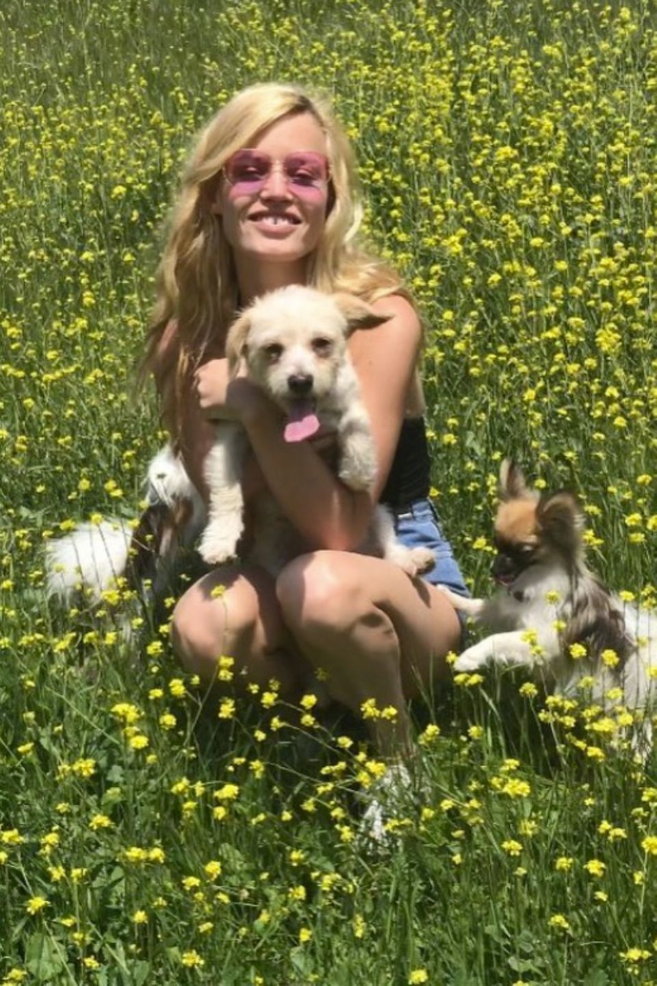 Ach wie herrlich, da kommt doch direkt ein Sommerfeeling auf. Georgia May Jagger genießt mit ihren Hunden Dr Pepper und Gizmo den schönen Frühlingstag. Ach wie herrlich, da kommt doch direkt ein Sommerfeeling auf. Georgia May Jagger genießt mit ihren Hunden Dr Pepper und Gizmo den schönen Frühlingstag.