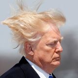 Als Donald Trump von einem Windstoß erfasst wird, reißt es ihm fast die Haare vom Kopf. Doch ganz entgegen der Gerüchte, er würde ein Toupet tragen, bleibt alles an Ort und Stelle. Schon immer hatte der Präsident darauf bestanden, sein Haar wäre echt. So ganz will man ihm das dennoch nicht glauben.