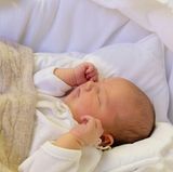 2016  Am 19. April 2016 erblickt der kleine Prinz Alexander von Schweden das Licht der Welt. Friedlich in eine Decke gekuschelt präsentiert die Familie den jüngsten Sprössling. 