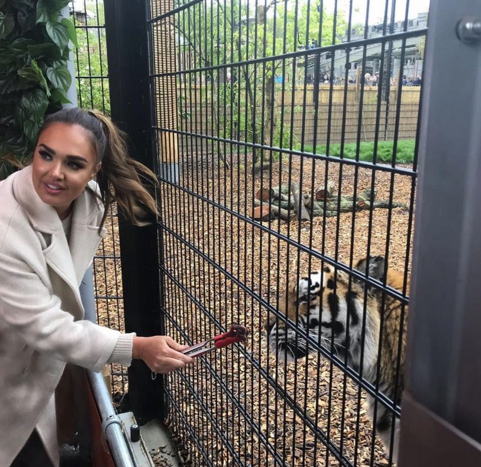 Trotz Zaun zwischen ihnen hat Tamara Ecclestone beim Füttern des Tigers gehörigen Respekt. Trotz Zaun zwischen ihnen hat Tamara Ecclestone beim Füttern des Tigers gehörigen Respekt.