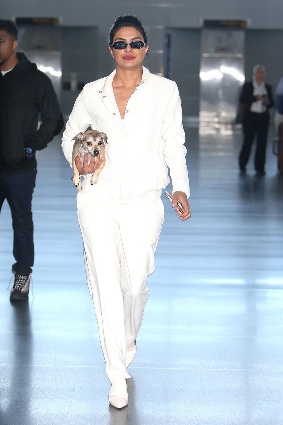Nicht ohne meinen Hund! Behutsam bugsiert Priyanka Chopra ihren Liebling in der rechten Hand, während sie sich auf den Weg in die Abflughalle des JFK Airports in New York macht. Ganz in Weiß gehüllt und in weiter Kleidung fliegt es sich sicher supergemütlich! Nicht ohne meinen Hund! Behutsam bugsiert Priyanka Chopra ihren Liebling in der rechten Hand, während sie sich auf den Weg in die Abflughalle des JFK Airports in New York macht. Ganz in Weiß gehüllt und in weiter Kleidung fliegt es sich sicher supergemütlich!
