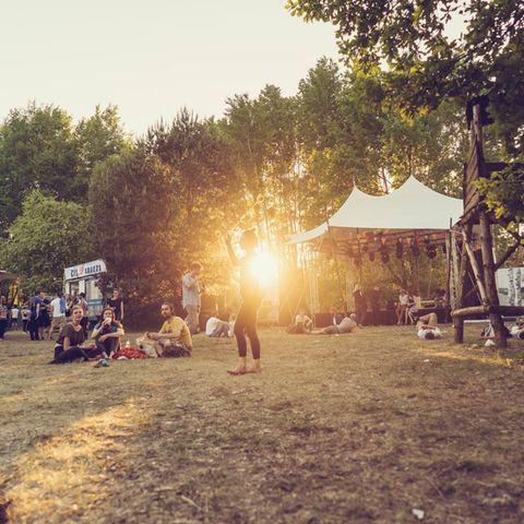 Immergut Festival: Die alternative "Fusion" an der Seenplatte