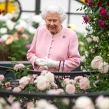 22. Mai 2018  Als wenn sich die Gärtner mit Queen Elizabeths Stylist abgestimmt haben, erscheint die Monarchin in einer zu den Rosenblüten passenden Farbe zur alljährlichen Chelsea Flower Schau. Wie immer hat sie ihre Familie im Schlepptau, die sich - wie jedes Jahr - die Ausstellung nicht entgehen lassen.