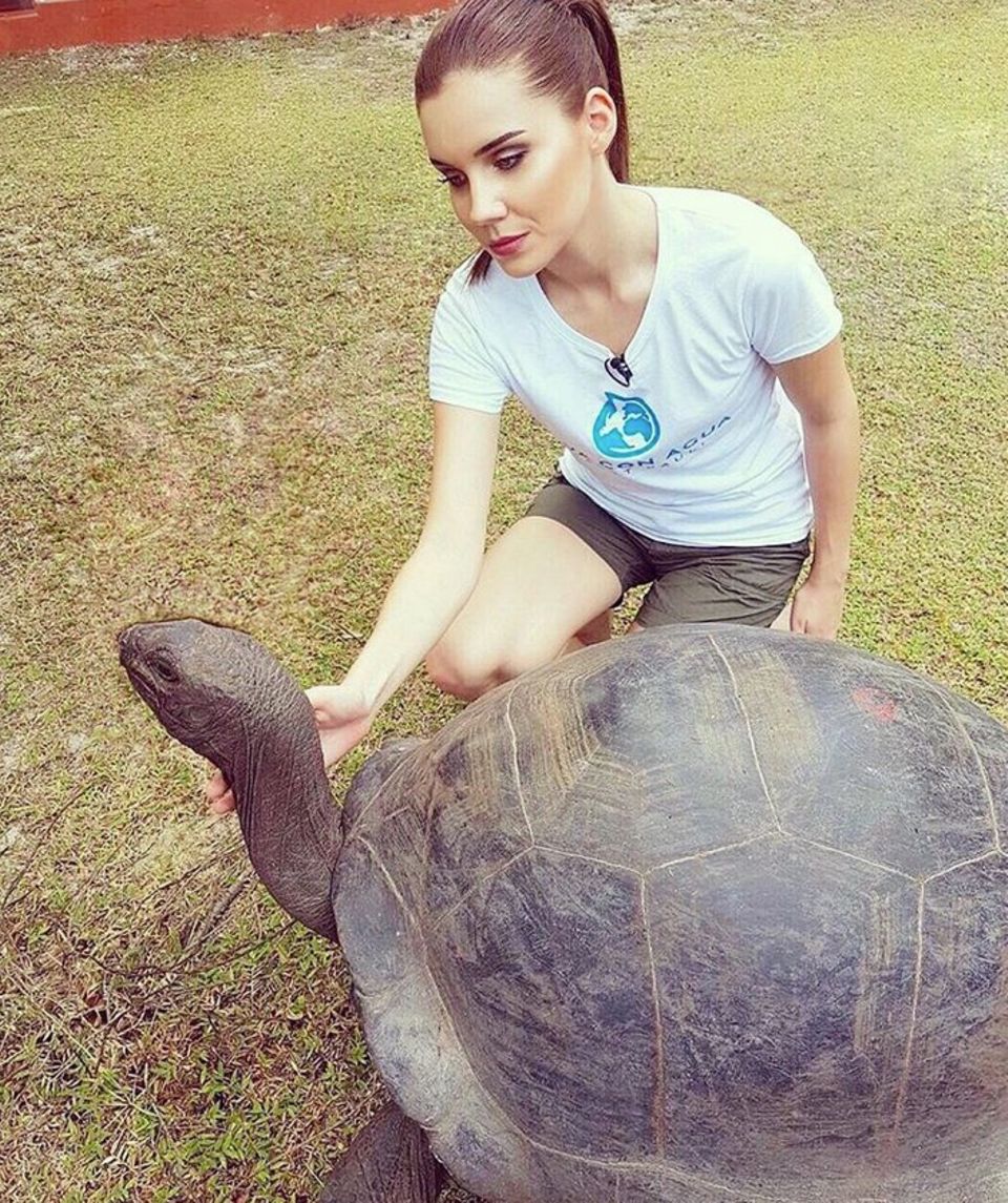 Nathalie Volk macht die Bekanntschaft mit einer Riesenschildkröte. Nathalie Volk macht die Bekanntschaft mit einer Riesenschildkröte.