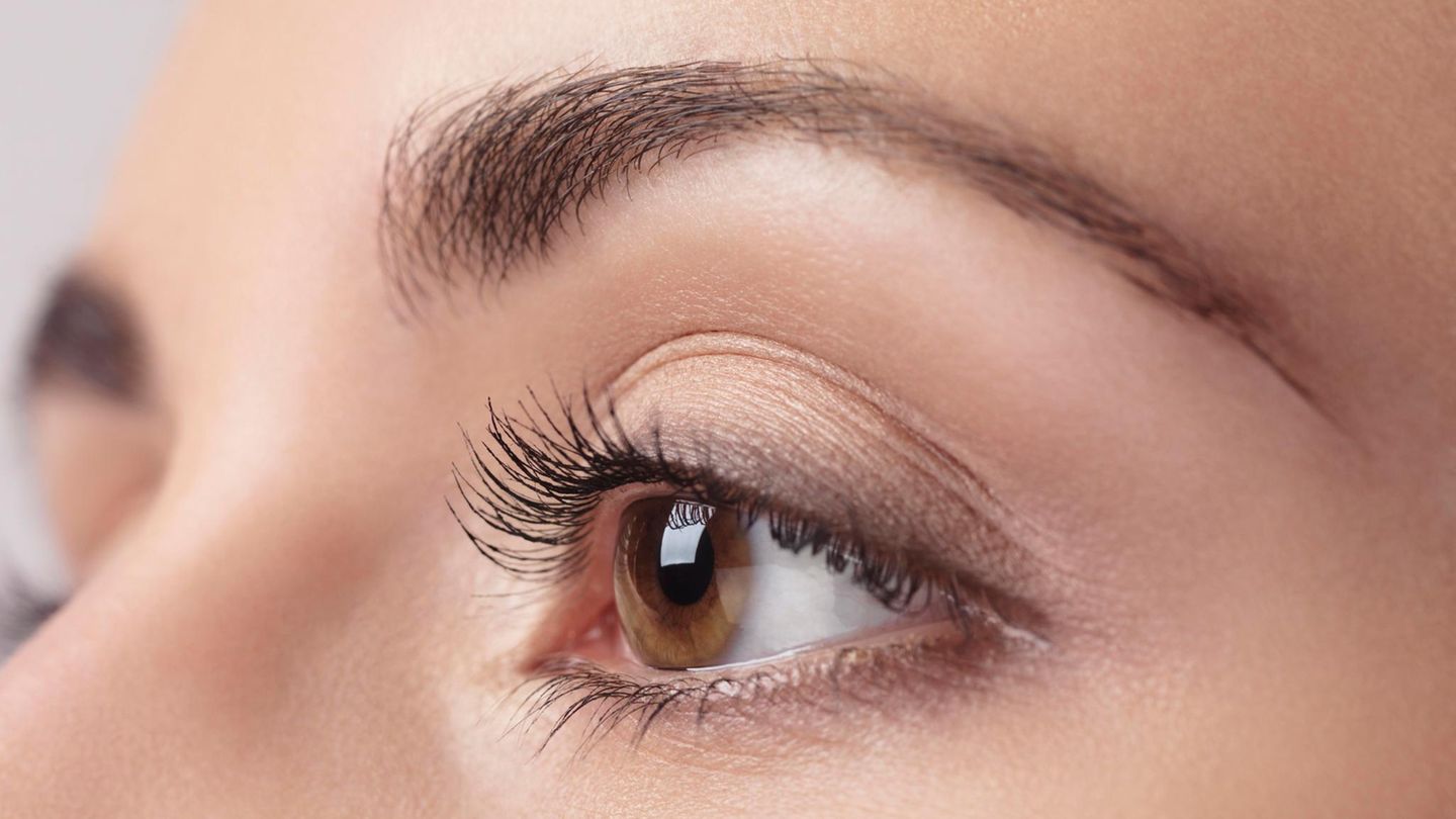 Gala Selbsttest Perfekte Augenbrauen Durch Microblading Gala De