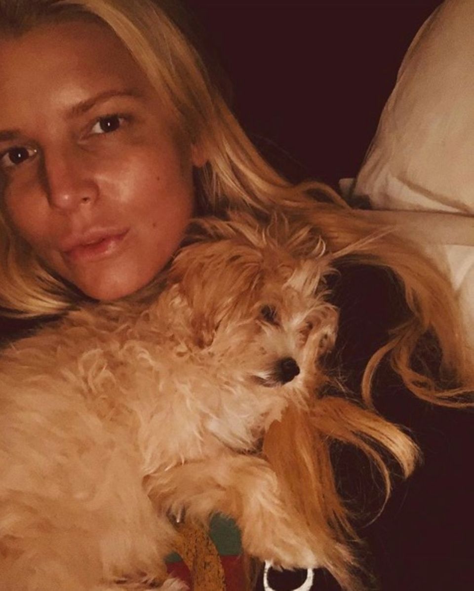 Herrlich normal! Jessica Simpson postet ein Selfie mit ihrem Hund und ist dabei komplett ungeschminkt. Über 52.000 Likes bekam die Sängerin dafür auf Instagram. Cool!