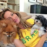 Supermodel Gisele Bündchen feuert die brasilianische Nationalmannschaft mit ihren Hündchen vom Sofa aus an.
