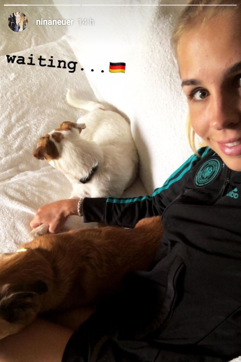 Nina Neuer, die Ehefrau von Manuel Neuer, schaut mit ihrem Hund auf der Couch das Spiel Südkorea gegen Deutschland