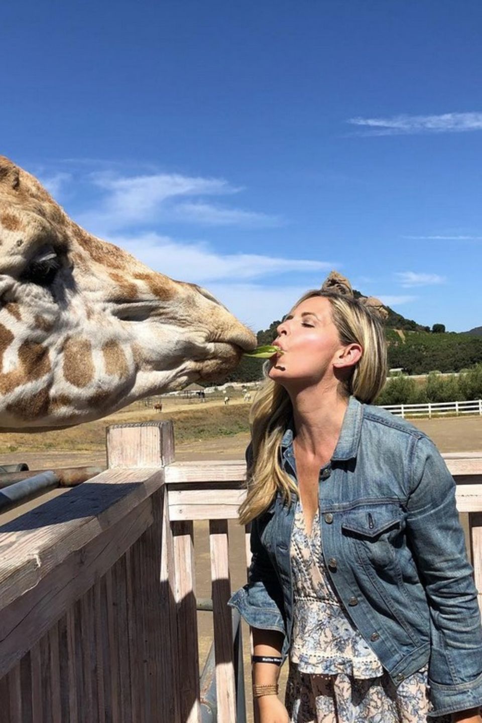 "Das ist Stanley. Wir sind verliebt. Verurteilt uns nicht", kommentiert Schauspielerin Sarah Michelle Gellar diesen tierischen Schnappschuss auf ihrer Instagram-Seite. Darauf füttert die Schauspielerin Giraffe Stanley mit dem Mund. Die zweifache Mutter befindet sich gerade auf einer Weinsafari in Malibu. "Das ist Stanley. Wir sind verliebt. Verurteilt uns nicht", kommentiert Schauspielerin Sarah Michelle Gellar diesen tierischen Schnappschuss auf ihrer Instagram-Seite. Darauf füttert die Schauspielerin Giraffe Stanley mit dem Mund. Die zweifache Mutter befindet sich gerade auf einer Weinsafari in Malibu.