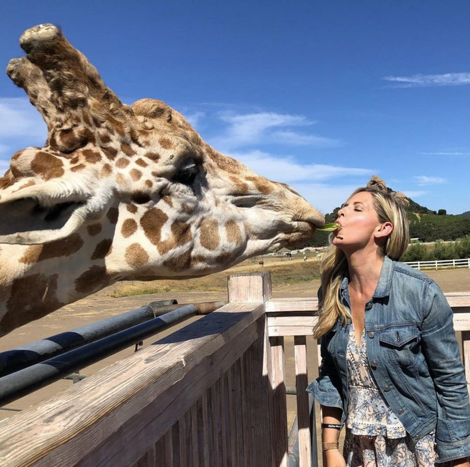 "Das ist Stanley. Wir sind verliebt. Verurteilt uns nicht", kommentiert Schauspielerin Sarah Michelle Gellar diesen tierischen Schnappschuss auf ihrer Instagram-Seite. Darauf füttert die Schauspielerin Giraffe Stanley mit dem Mund. Die zweifache Mutter befindet sich gerade auf einer Weinsafari in Malibu. "Das ist Stanley. Wir sind verliebt. Verurteilt uns nicht", kommentiert Schauspielerin Sarah Michelle Gellar diesen tierischen Schnappschuss auf ihrer Instagram-Seite. Darauf füttert die Schauspielerin Giraffe Stanley mit dem Mund. Die zweifache Mutter befindet sich gerade auf einer Weinsafari in Malibu.
