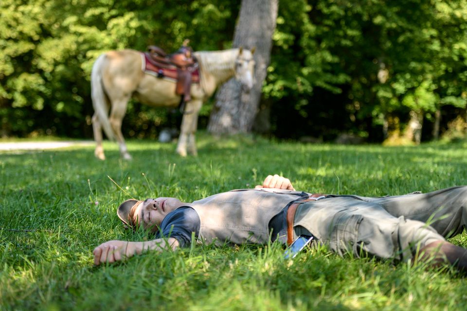 Sturm der Liebe: Folge 2987 am Montag (03.09.18): Viktor (Sebastian Fischer) ist nach dem Sturz von Taifun bewusstlos Folge 2987 am Montag (03.09.18): Viktor (Sebastian Fischer) ist nach dem Sturz von Taifun bewusstlos