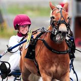 28. Juli 2018  Debüt auf der Trabrennbahn: Prinzessin Märtha Louise von Norwegen nimmt zum ersten Mal am Ponyrennen über 2100 Meter auf der Trabrennbahn in Biri teil. 
