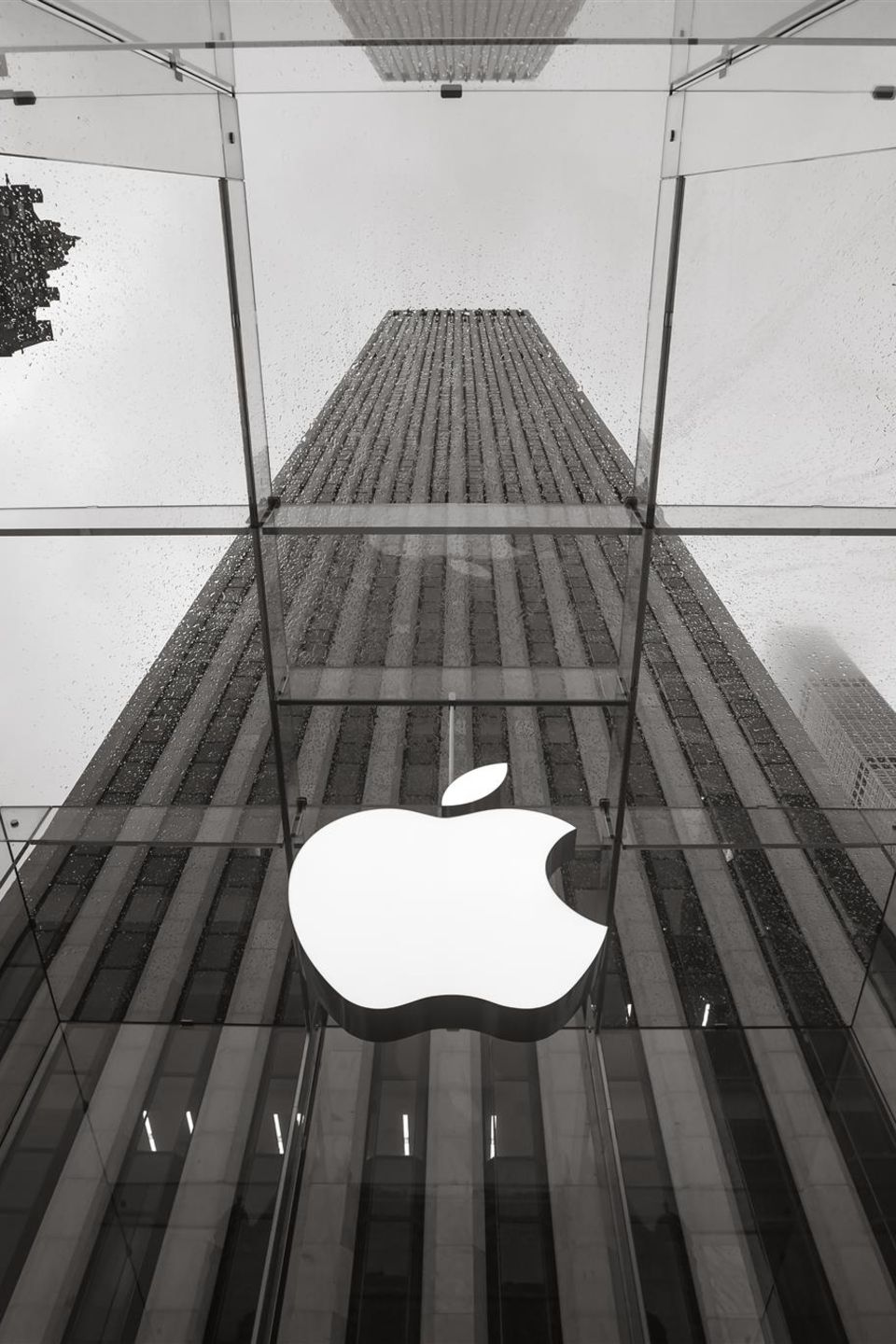 Der Apple-Store in New York. 
