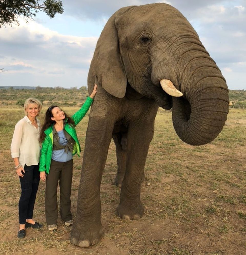 In Südafrika erlebt Kristin Davis (Mitte) diesen magischen Moment, wie sie selbst beschreibt. Der "Sex and the City"-Star lernt die gerettete Elefantendame Jabulani kennen. In Südafrika erlebt Kristin Davis (Mitte) diesen magischen Moment, wie sie selbst beschreibt. Der "Sex and the City"-Star lernt die gerettete Elefantendame Jabulani kennen.