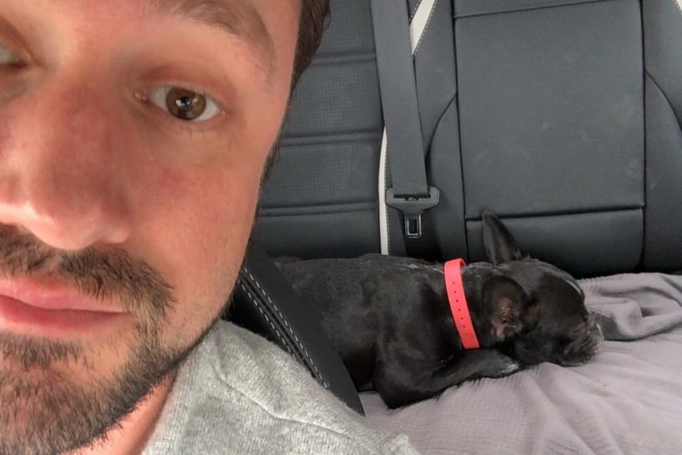 Promi Big Brother: Daniel Völz und sein Hund Bella Daniel Völz und sein Hund Bella