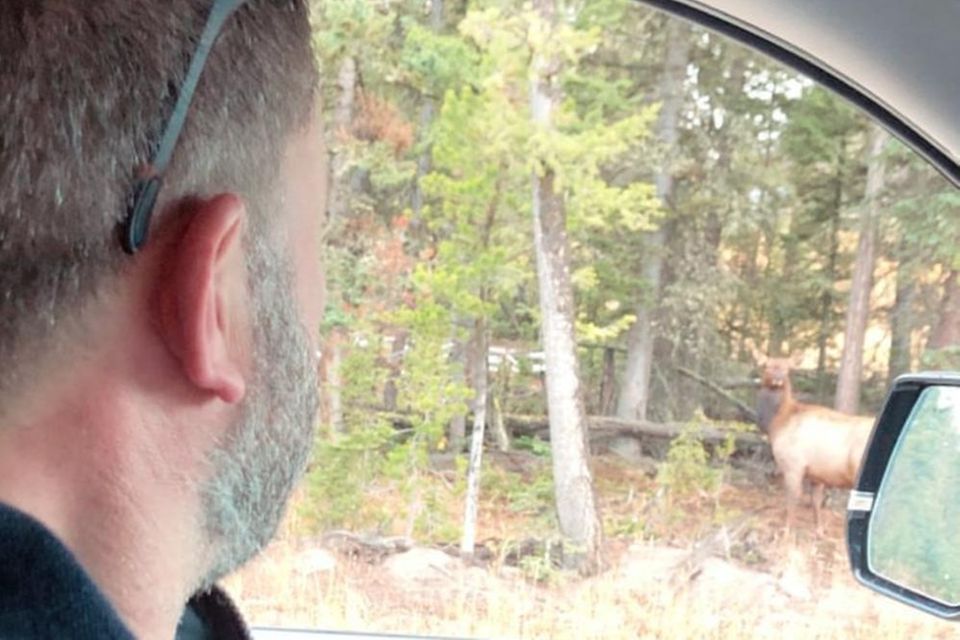 Ben Affleck nach Alkoholentzug: Ben Affleck macht im Oktober 2018 Urlaub in Montana. Das zeigt seine Begleitung Shauna Sexton auf Instagram Ben Affleck macht im Oktober 2018 Urlaub in Montana. Das zeigt seine Begleitung Shauna Sexton auf Instagram